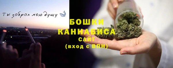 прущие грибы Бугульма