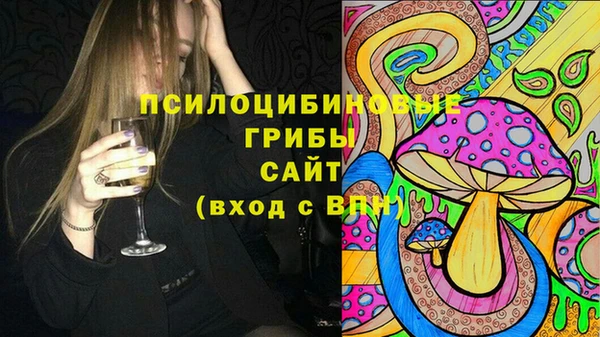 jwh Бородино