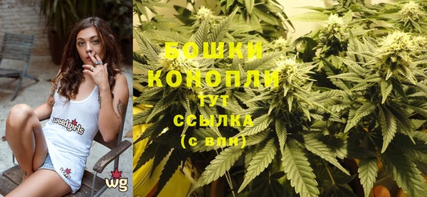 2c-b Бронницы