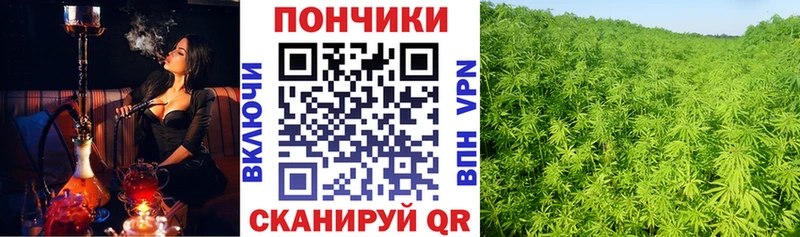 Конопля семена  кракен tor  Мещовск  наркотики 